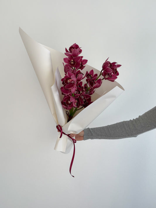 Cymbidium Orchids En Masse