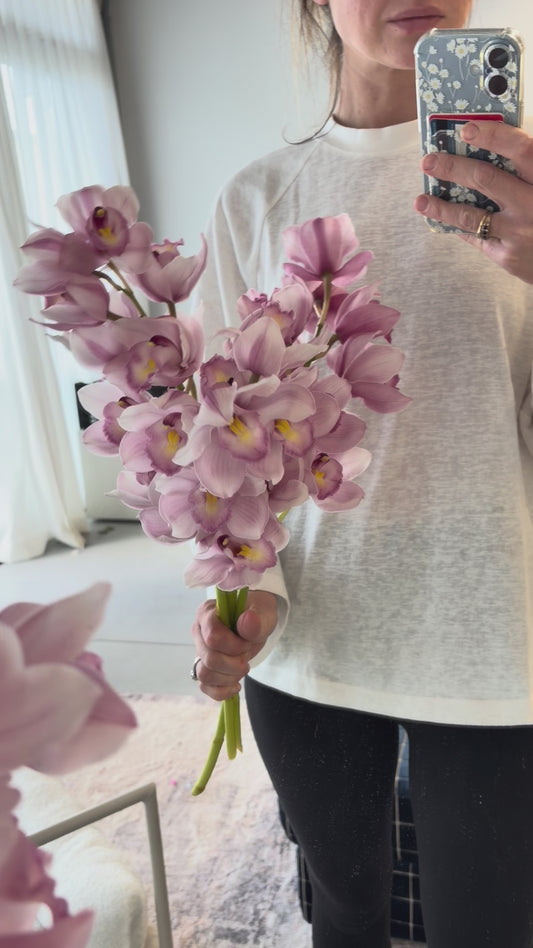 Cymbidium Orchids En Masse